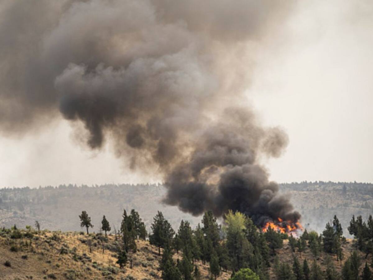 El 35 por cierto de los incendios de este año se produjeron por descuido humano