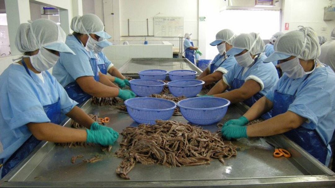 Trabajadoras de la industria conservera