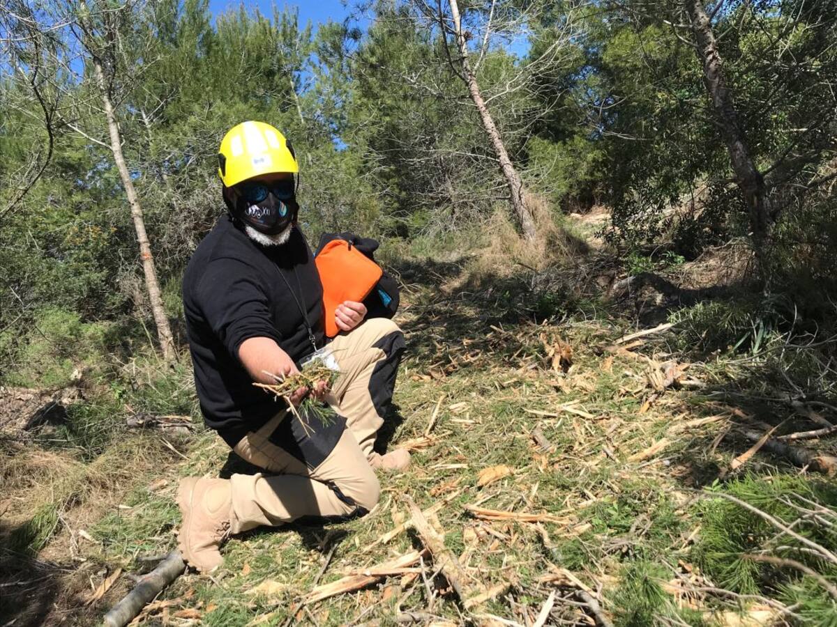 Proyecto de prevención de incendios más ambicioso de Europa