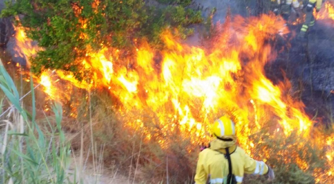 Imagen del incendio poco después de declararse en el paraje del Menjú, en Cieza