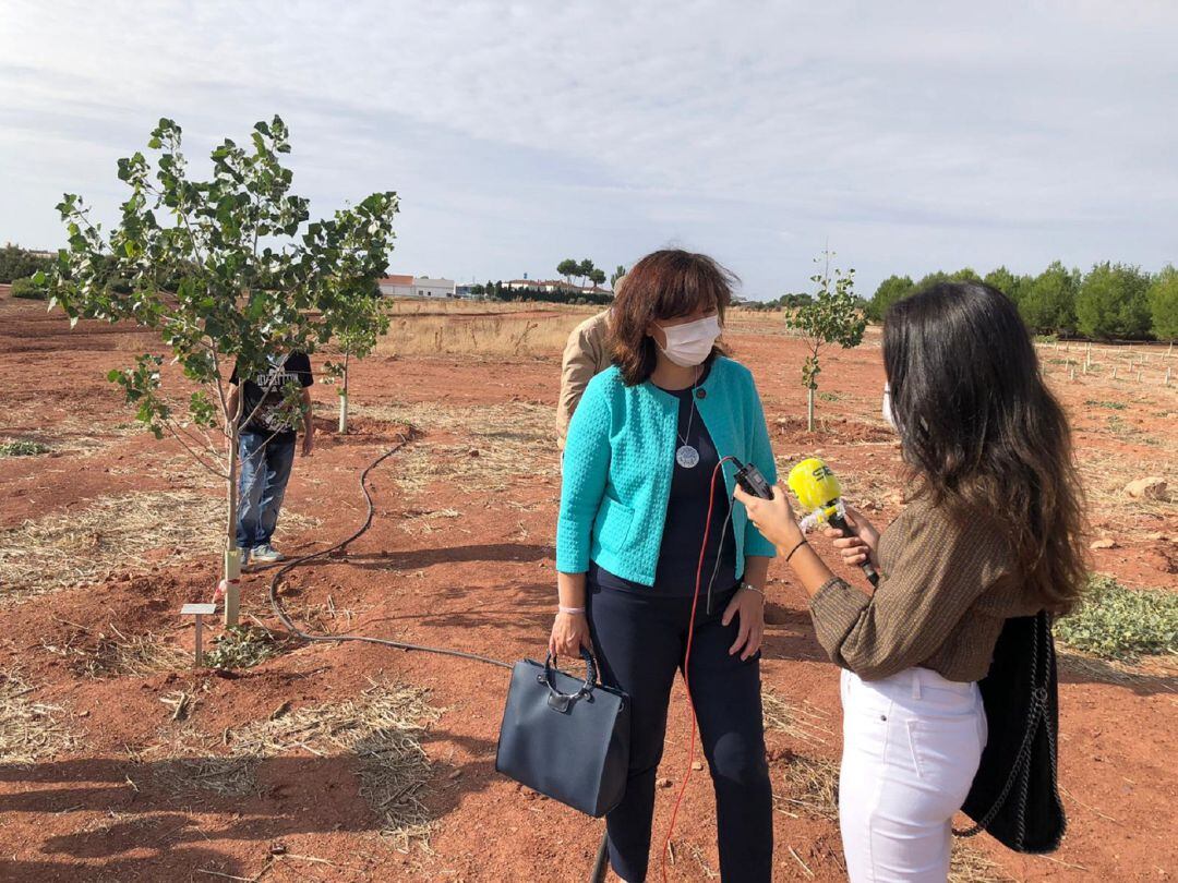 Visita al Bosque de la vida