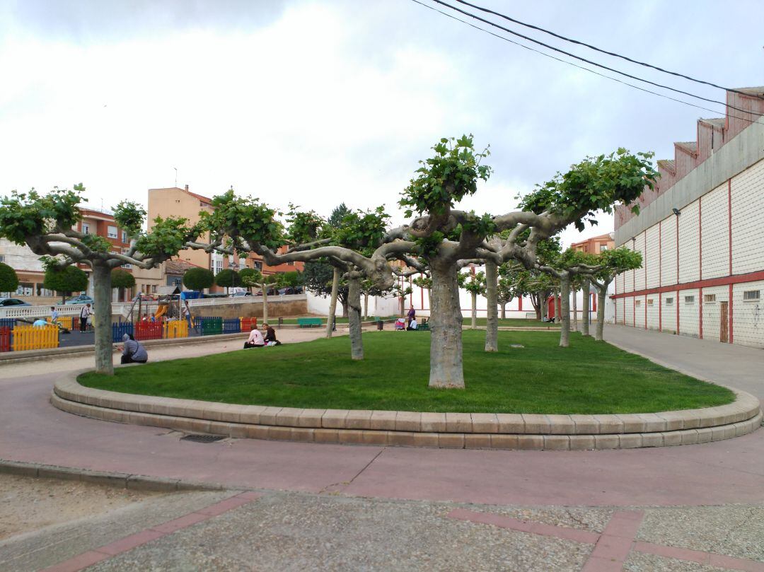 Parque de la Cava de Roa