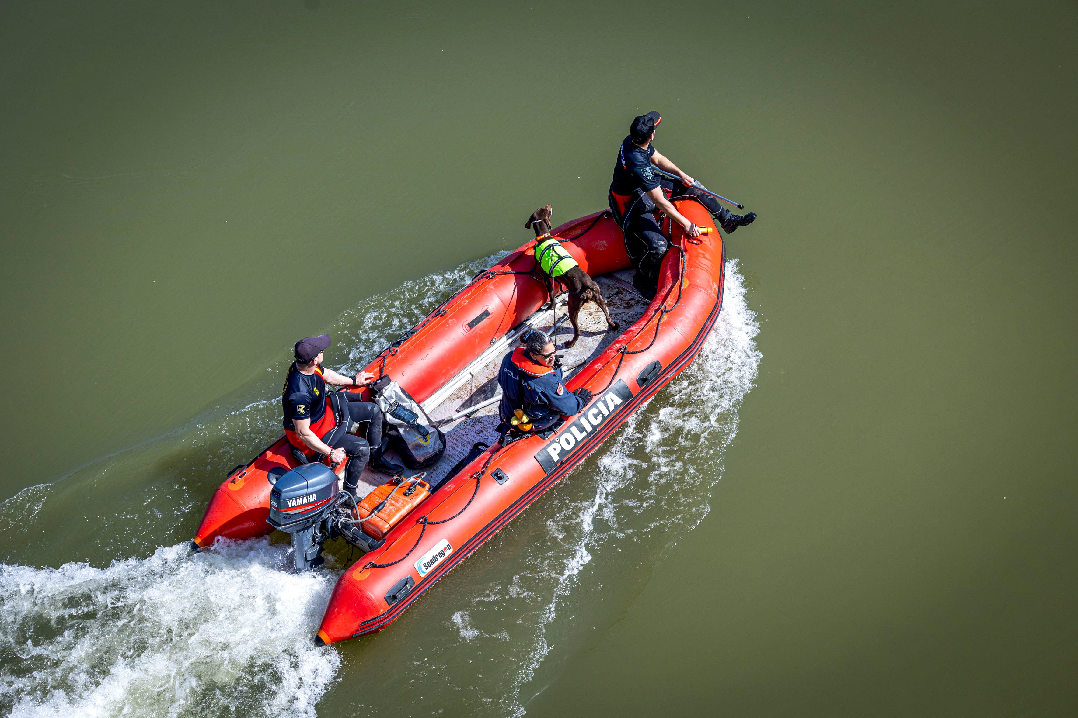  Cuerpos policiales con medios terrestres, como agentes a pie y perros expertos en la búsqueda de personas, acuáticos y aéreos, como drones y helicópteros, y voluntarios, en los trabajos de búsqueda.