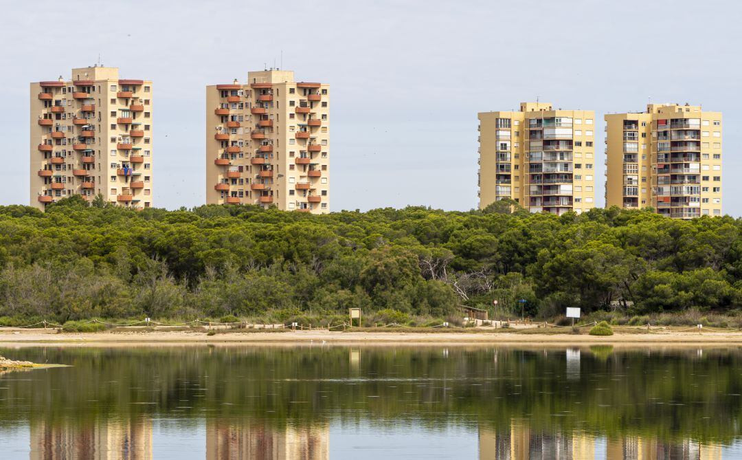 La Devesa de El Saler está en pleno parque natural de la Albufera de València. 