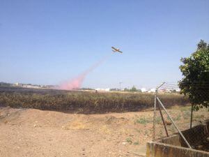 Un avión del Infoca sofoca las llamas