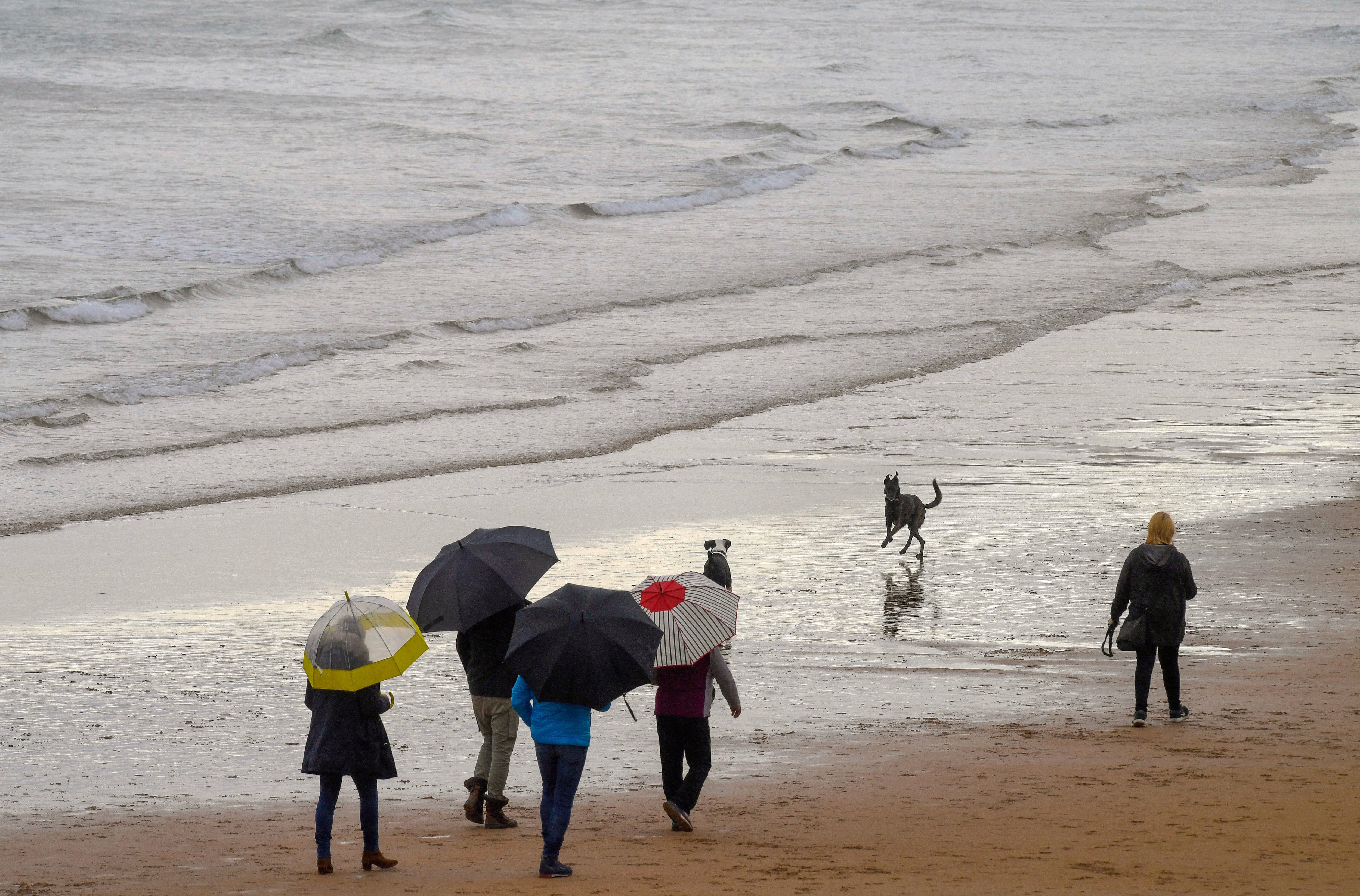 Unas personas pasean con paraguas en una playa en Gijón este sábado.Este sábado un frente atlántico dejará cielos nubosos, con precipitaciones y alguna tormenta ocasional en el tercio noroeste peninsular, más intensas y frecuentes en la mitad oeste de Galicia y oeste del sistema Central, según informa la Agencia Estatal de Meteorología (Aemet). EFE/ Eloy Alonso