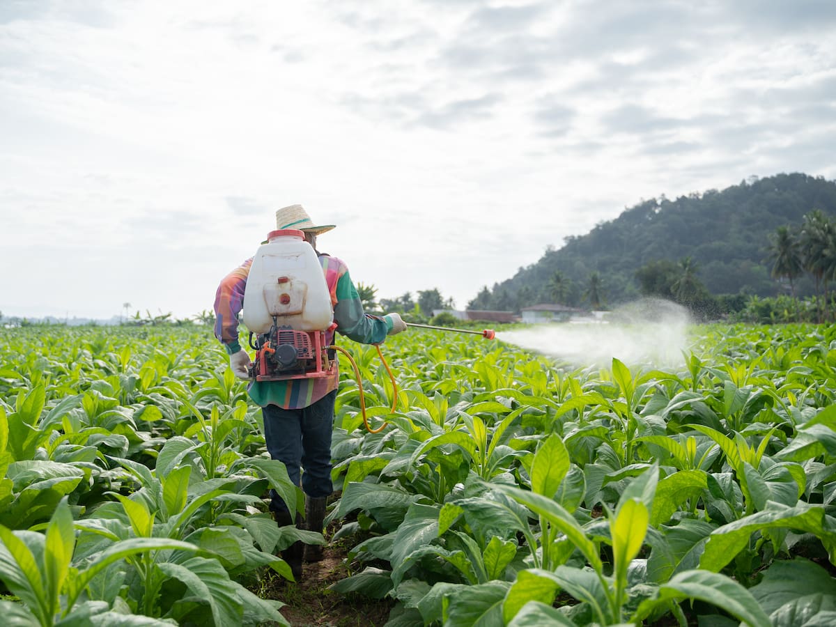 El peligro silencioso de los plaguicidas ocultos en los alimentos