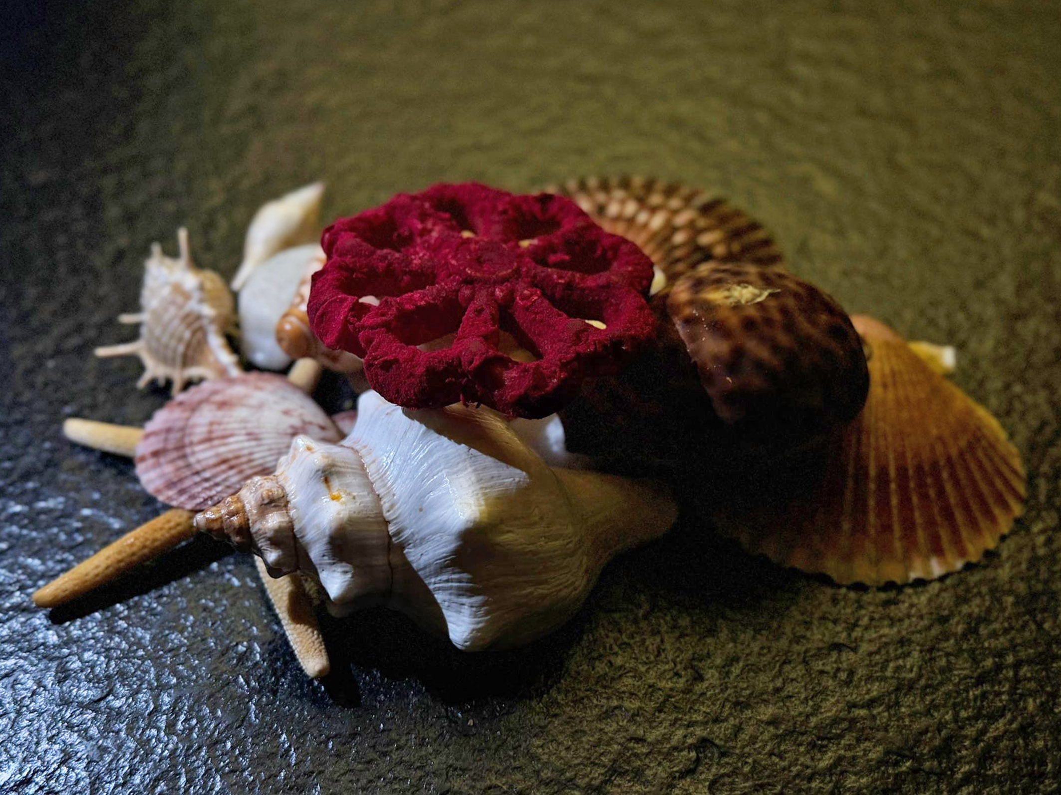 La  tapa “Todo al grana” que representará a la Región de Murcia en la feria gastronómica Madrid Fusión