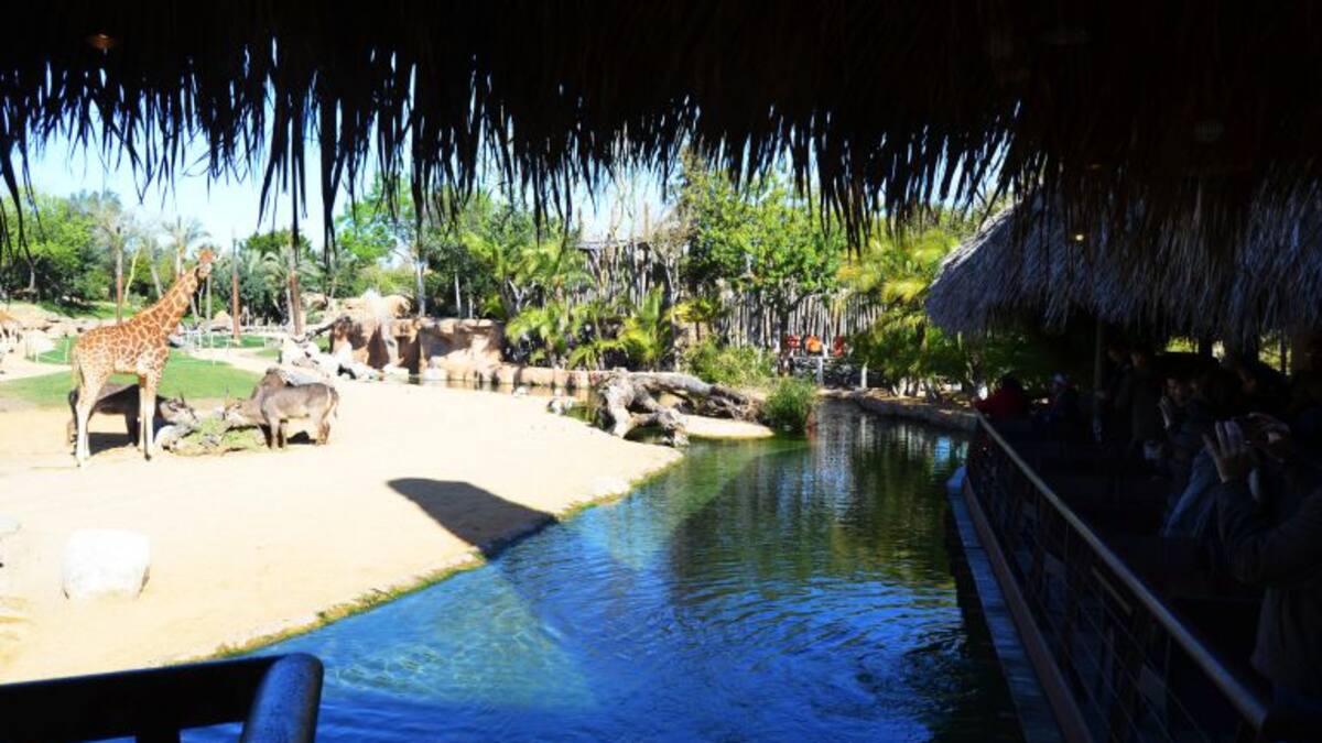 El Bioparc celebra sus 10 años