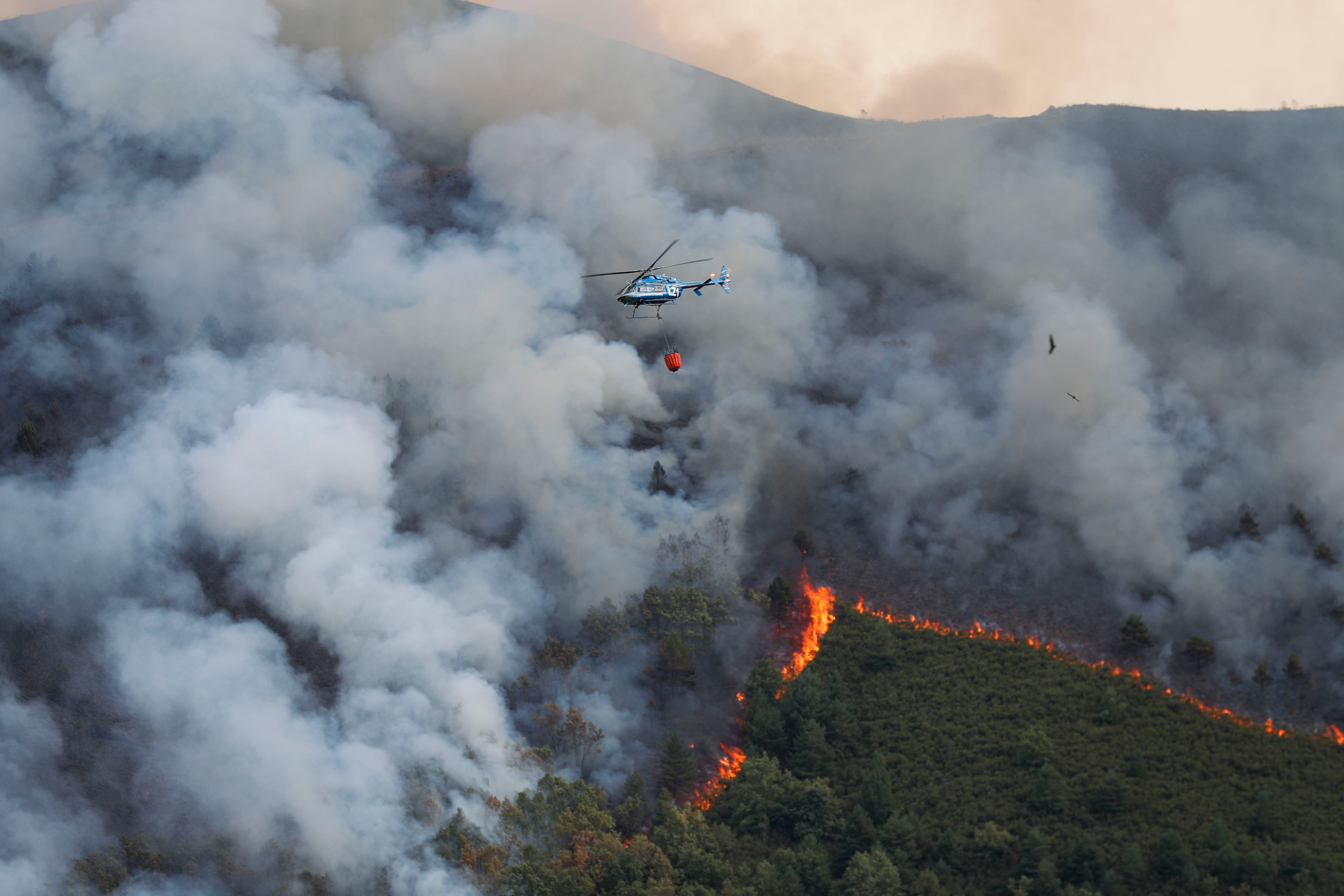 La voz de los vecinos que se han sentido abandonados en plena ola de incendios: "Es desolador, nos hemos quedado sin nada"