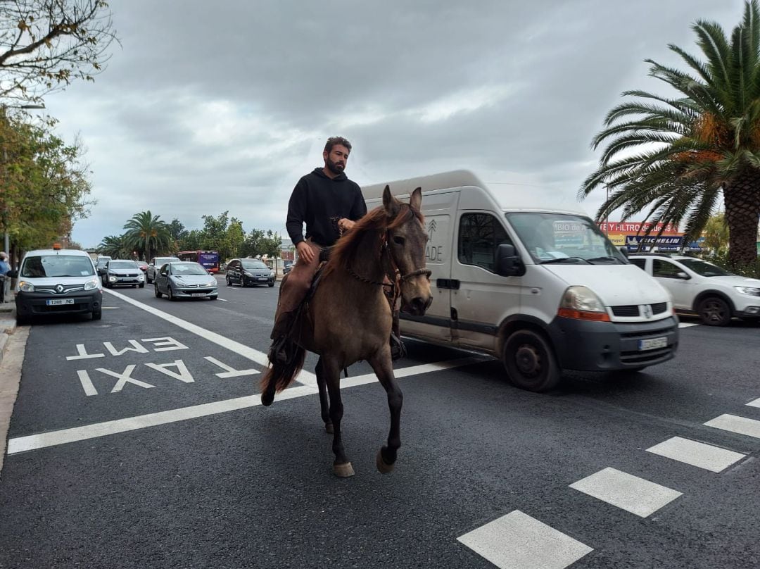 Rubén Llata, joven ganadero y miembro de la Asociación Valenciana de Agricultores (AVA-ASAJA, pasea por València a caballo para denunciar su situación