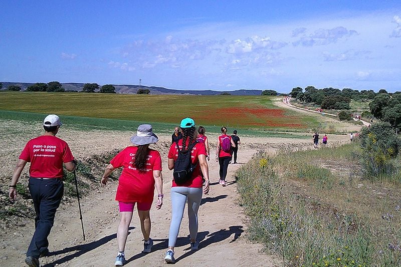 El camino, de 6,5 kilómetros, comenzará a las 10:00h del domingo 1 de diciembre, partiendo desde la Plaza de la Constitución y destinado a seguir los pasos de Miguel de Cervantes