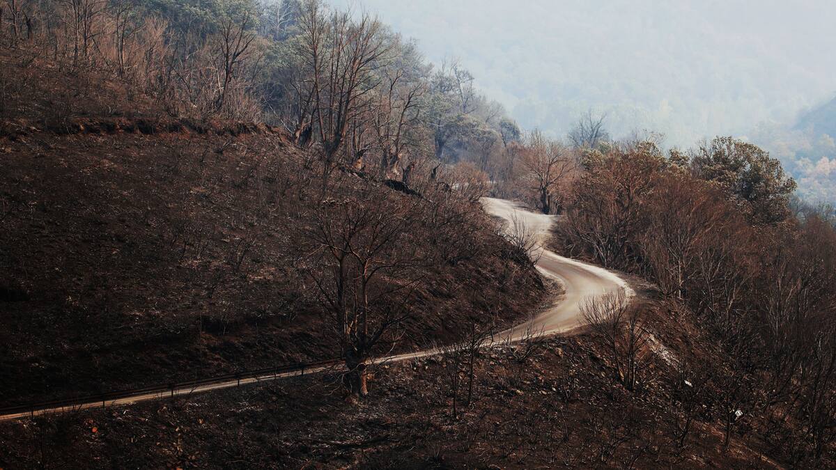 Prohiben el consumo de agua en el municipio de Oencia como consecuencia del fuego