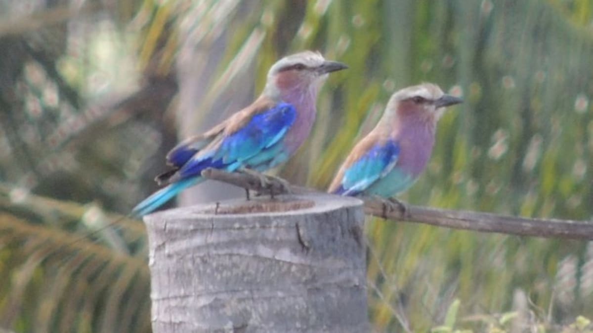 Descubre Mozambique con Tulum