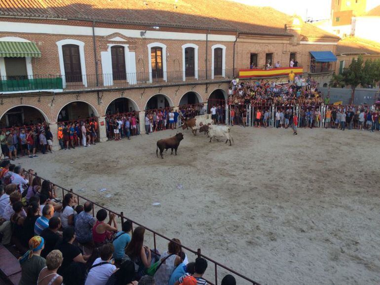 La Fiesta de los Novillos llega a La Seca