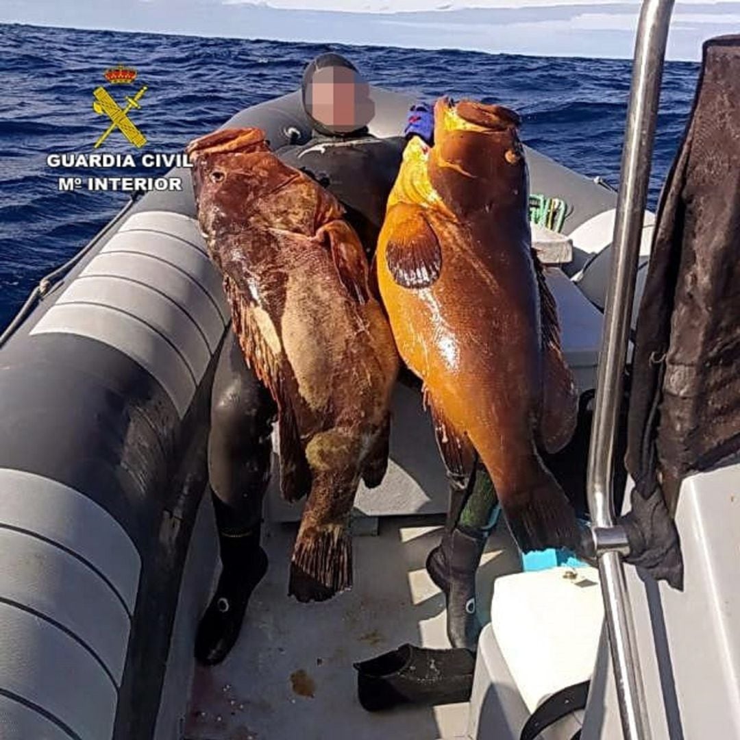 Parte del pescado intervenido.