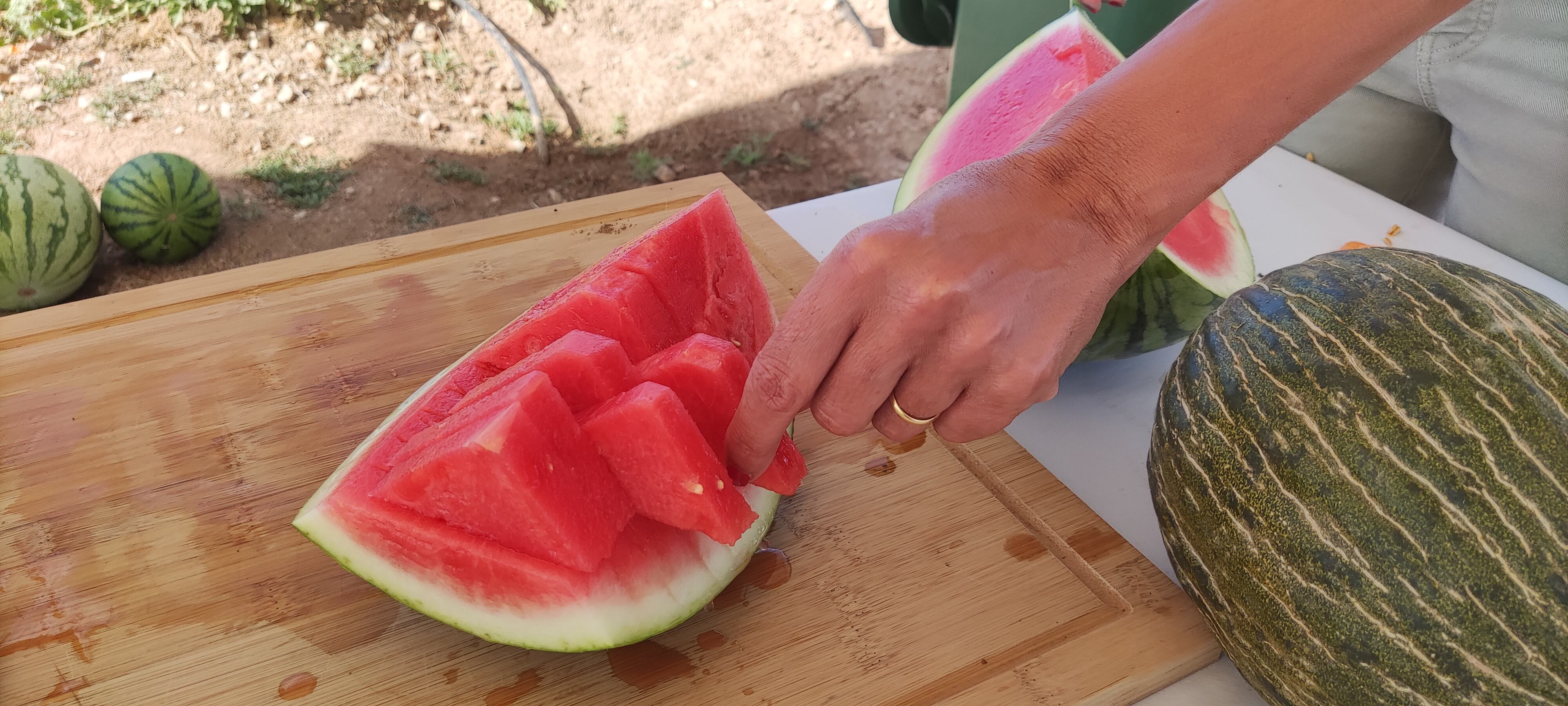 Melón y sandía de La Mancha