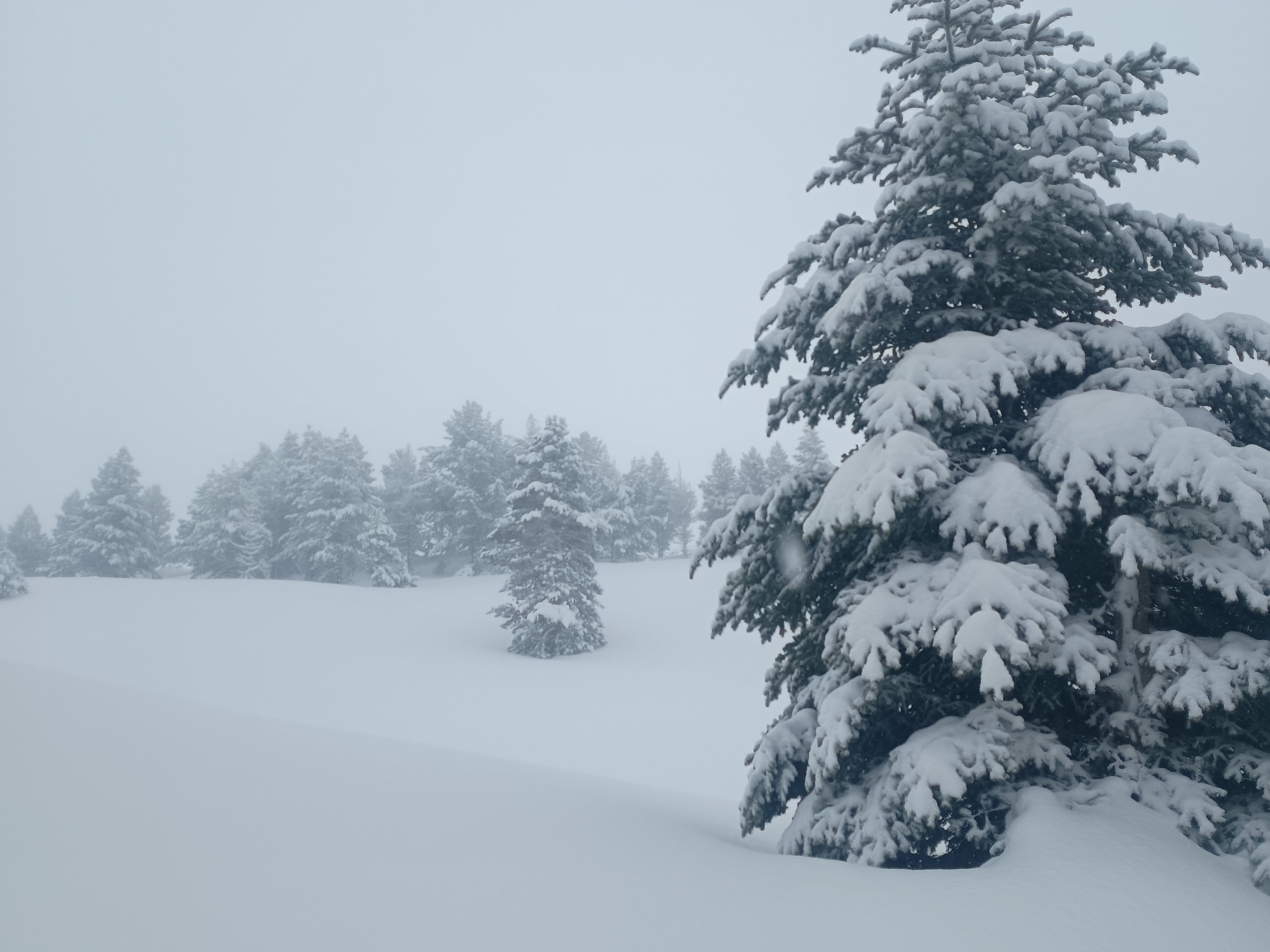 Ha sido una temporada  con nevadas "como las de antes"