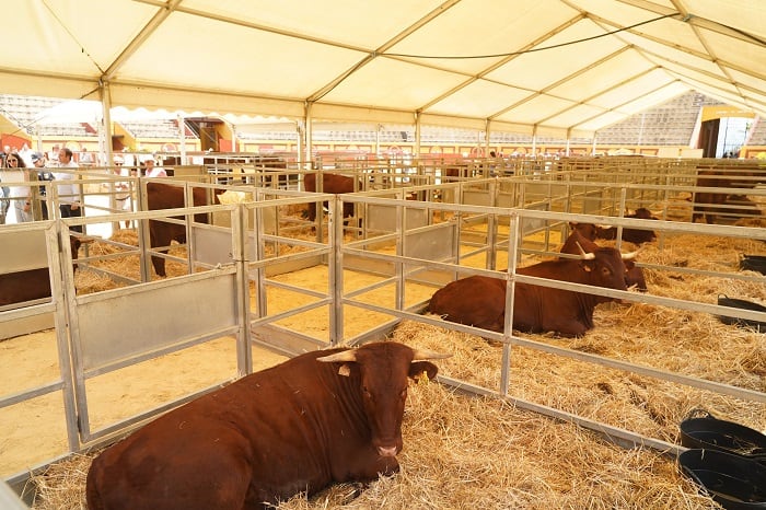 Un momento de la muestra