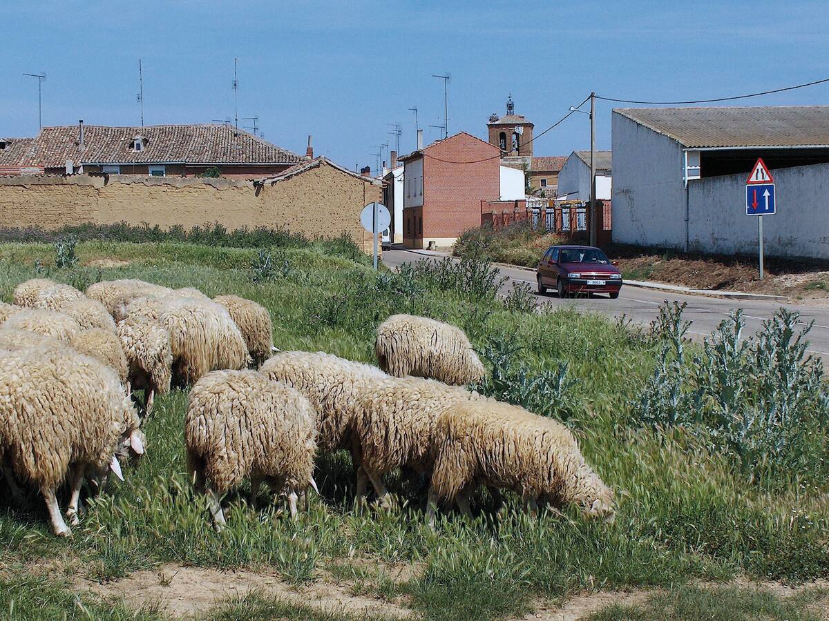 La Diputación convoca de manera anticipada las ayudas a infraestructuras agroganaderas para 2023