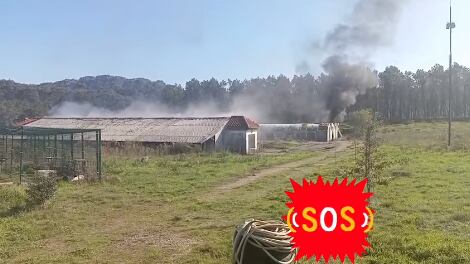 Imagen del incendio extraída del vídeo-denuncia de Proyecto Gato