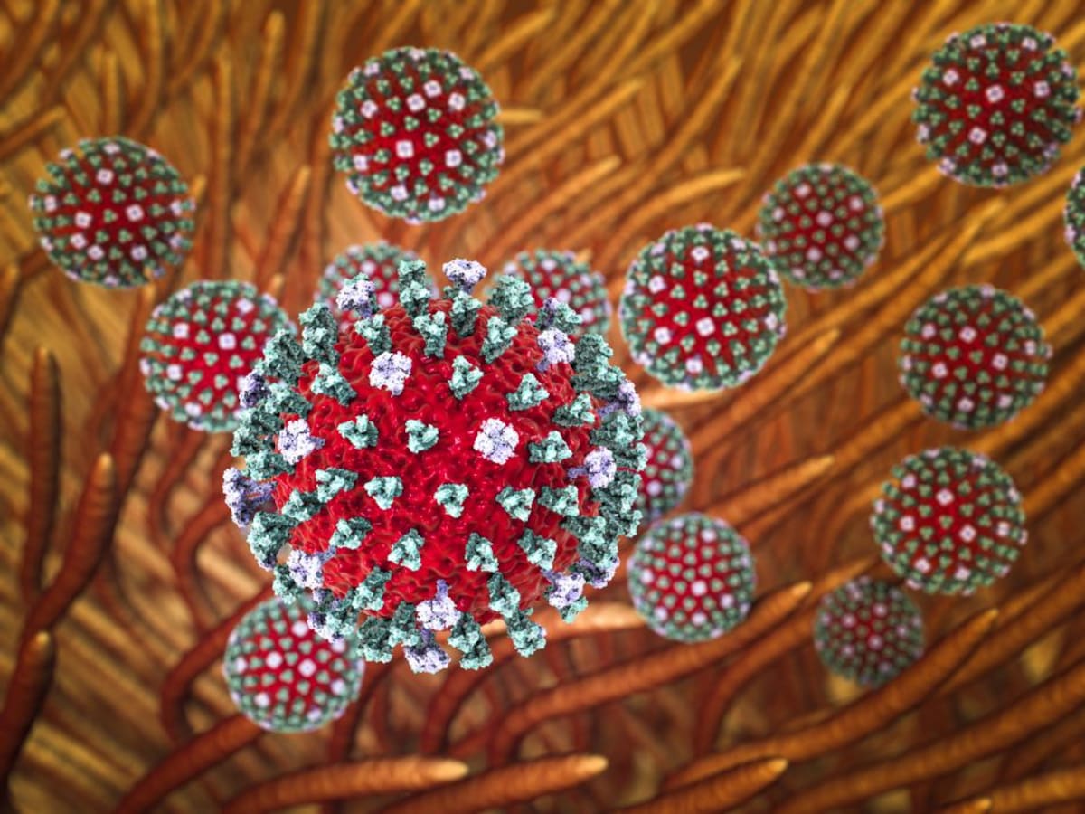 Una mujer de 46 años con patologías previas, segunda fallecida por gripe