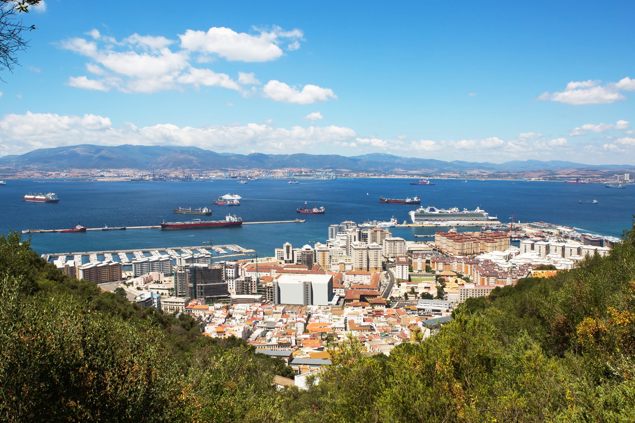 Campo de Gibraltar.