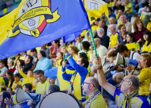 Afición del BM Caserío Ciudad Real durante un partido