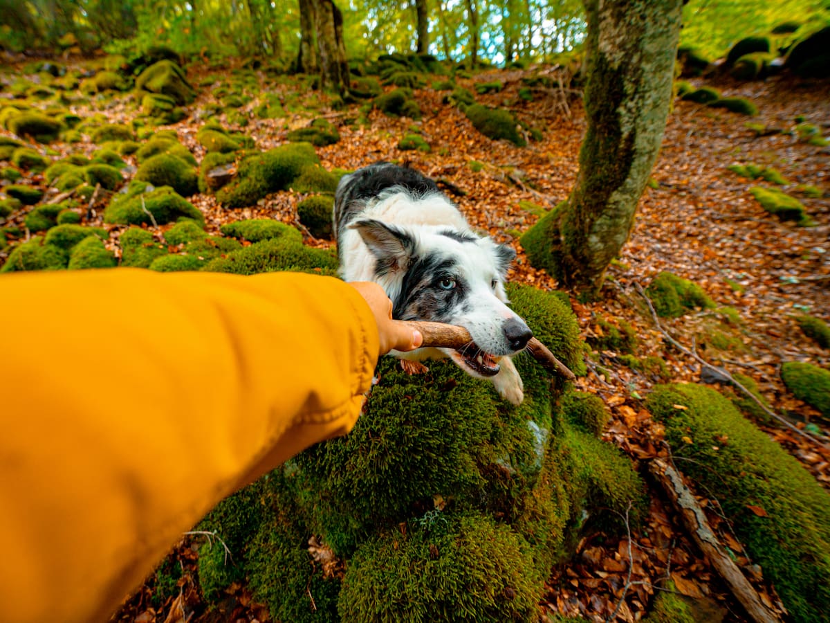 María Gómez comparte el destino que no te puedes perder si tienes perro: "Es maravilloso"