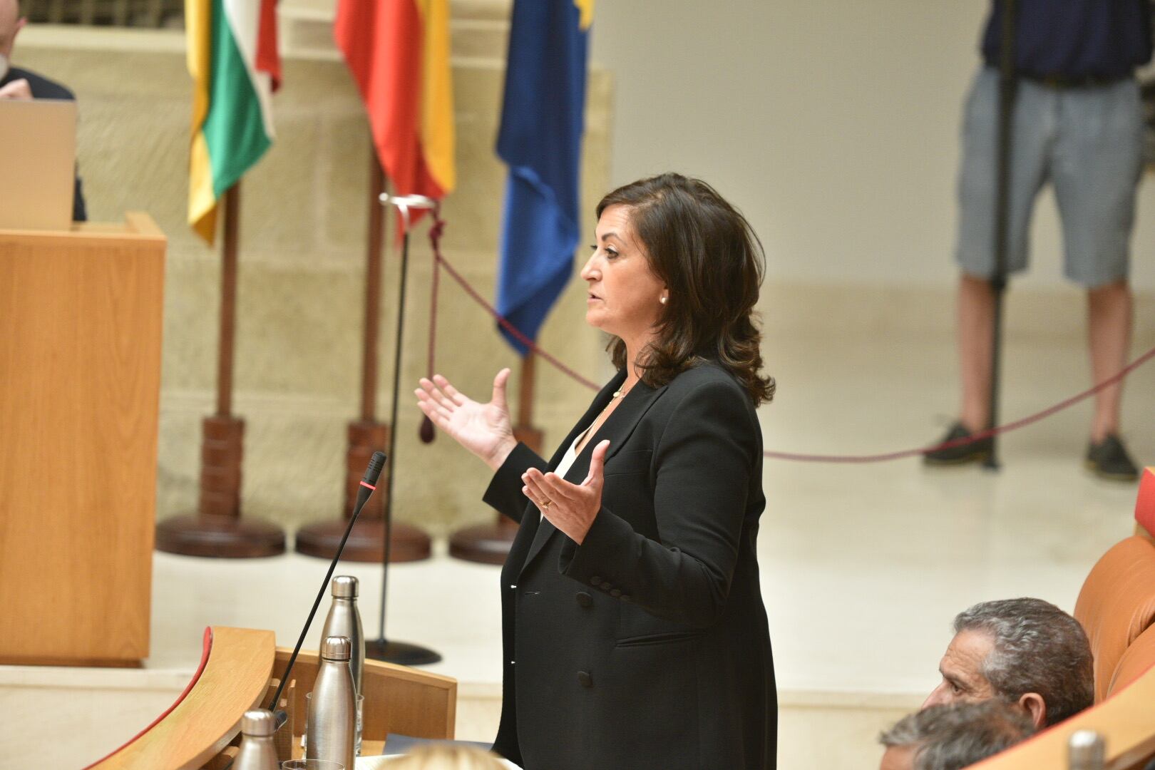 La presidenta del Gobierno de La Rioja, Concha Andreu, en el pleno del Parlamento de La Rioja.