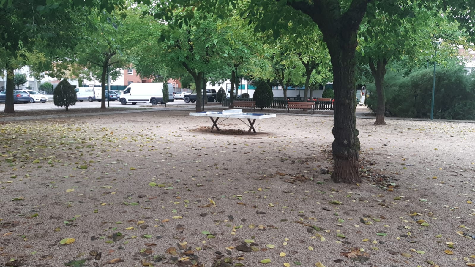 Hojas caídas en un parque de Ciudad Real tras el paso de la borrasca Kirk