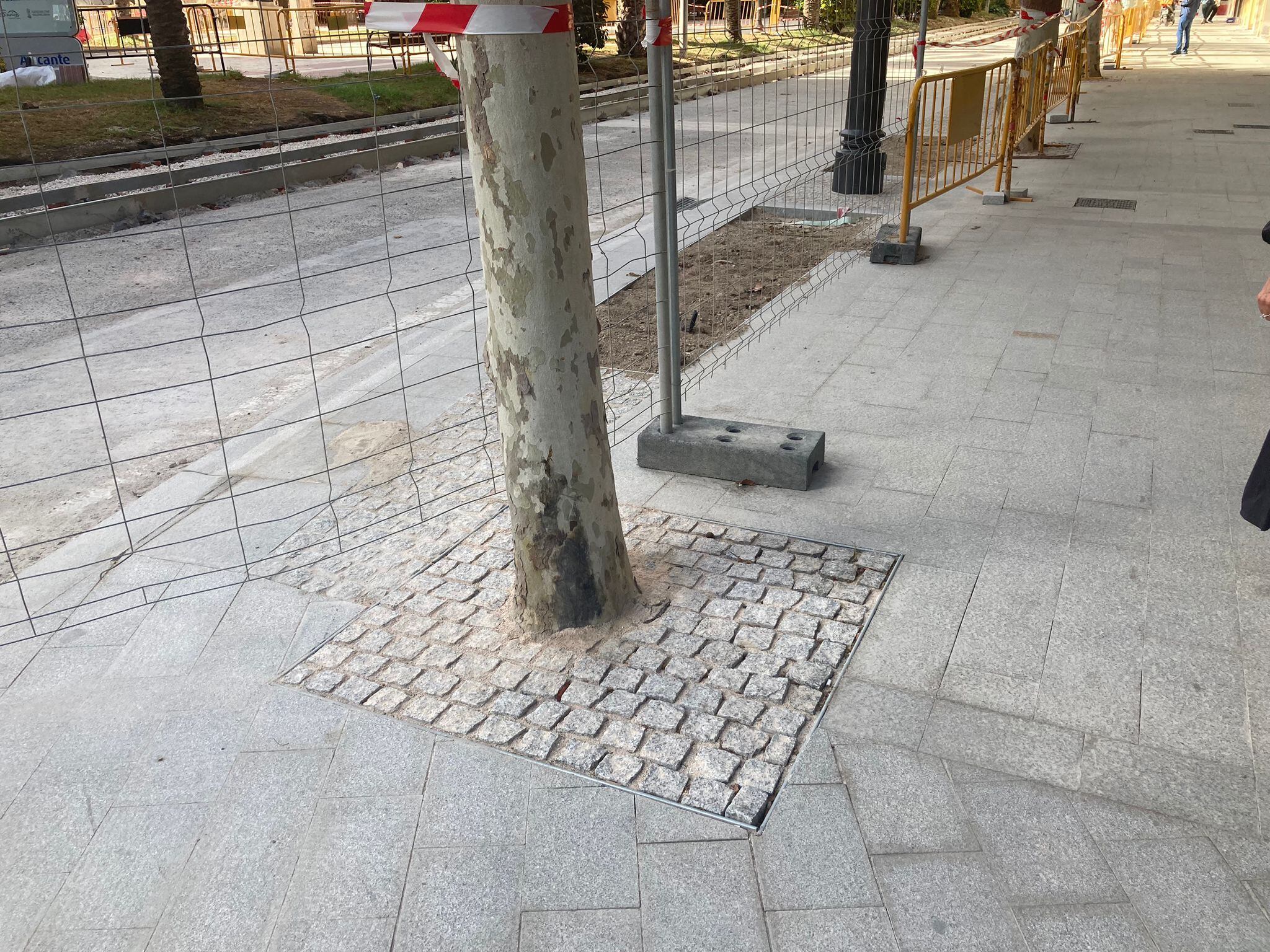 Uno de los nuevos alcorques adoquinados que se han instalado en el centro de Alicante