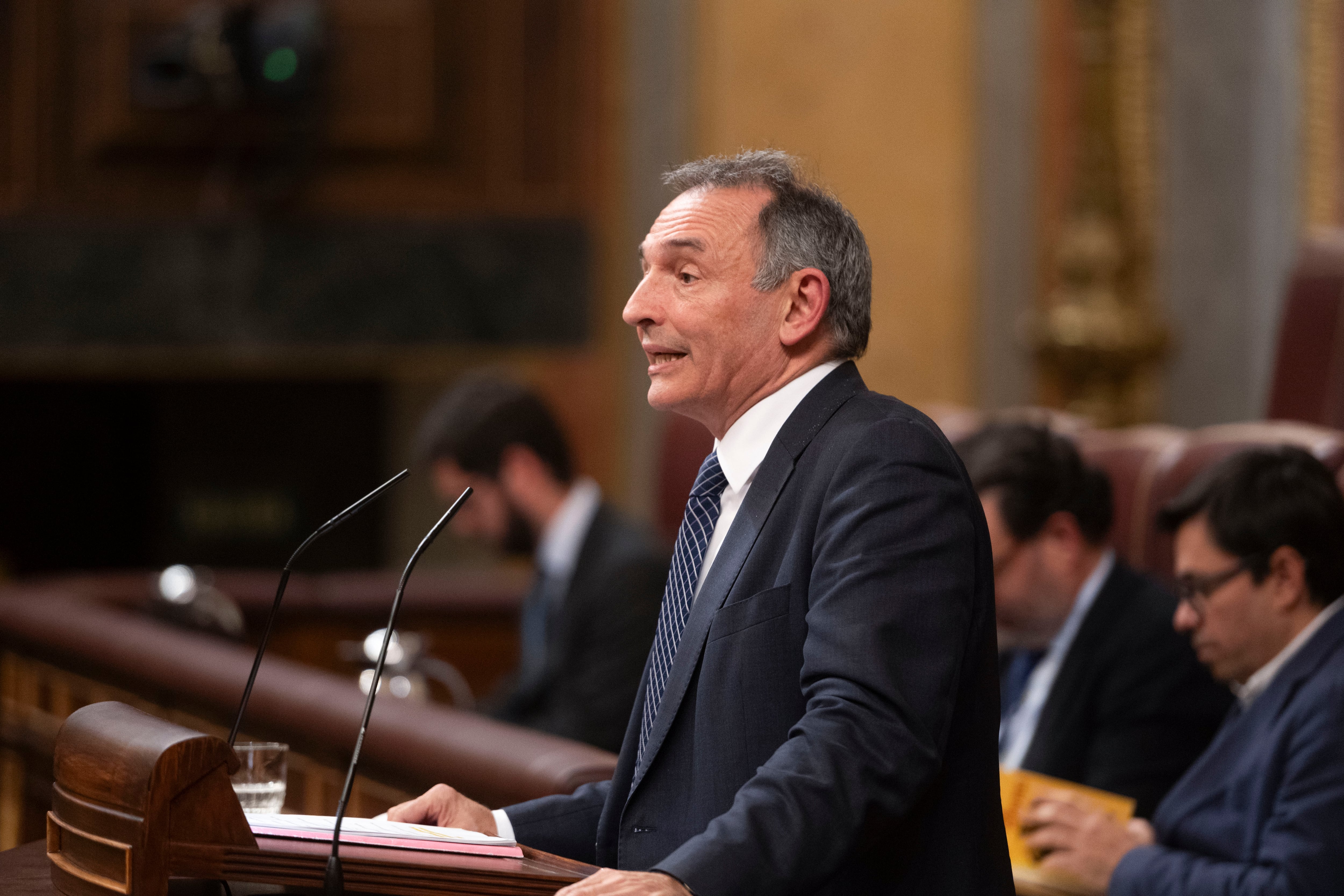 El diputado de Sumar, Enrique Fernando Santiago, interviene durante el pleno del Congreso de los Diputados