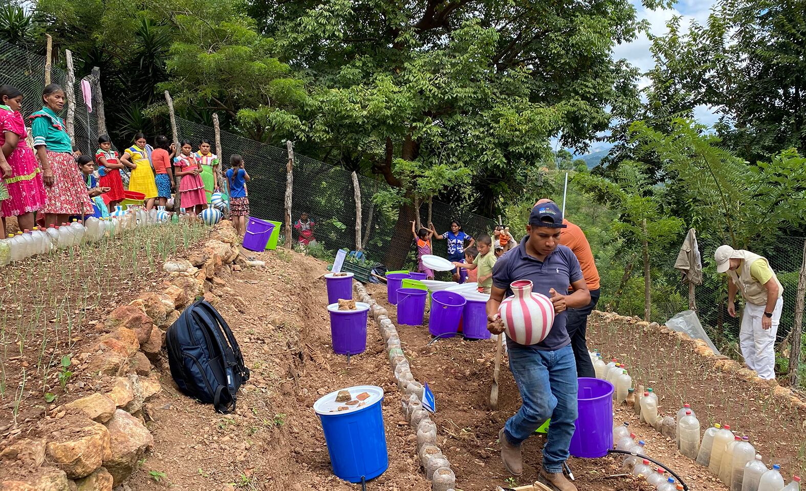 Investigadores de la UJA instalan la patente ‘árbol de lluvia’ en los cultivos de cinco comunidades en el corredor seco oriental de Guatemala