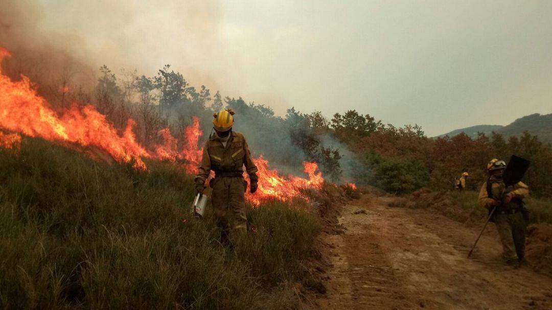 Una brigada en acción