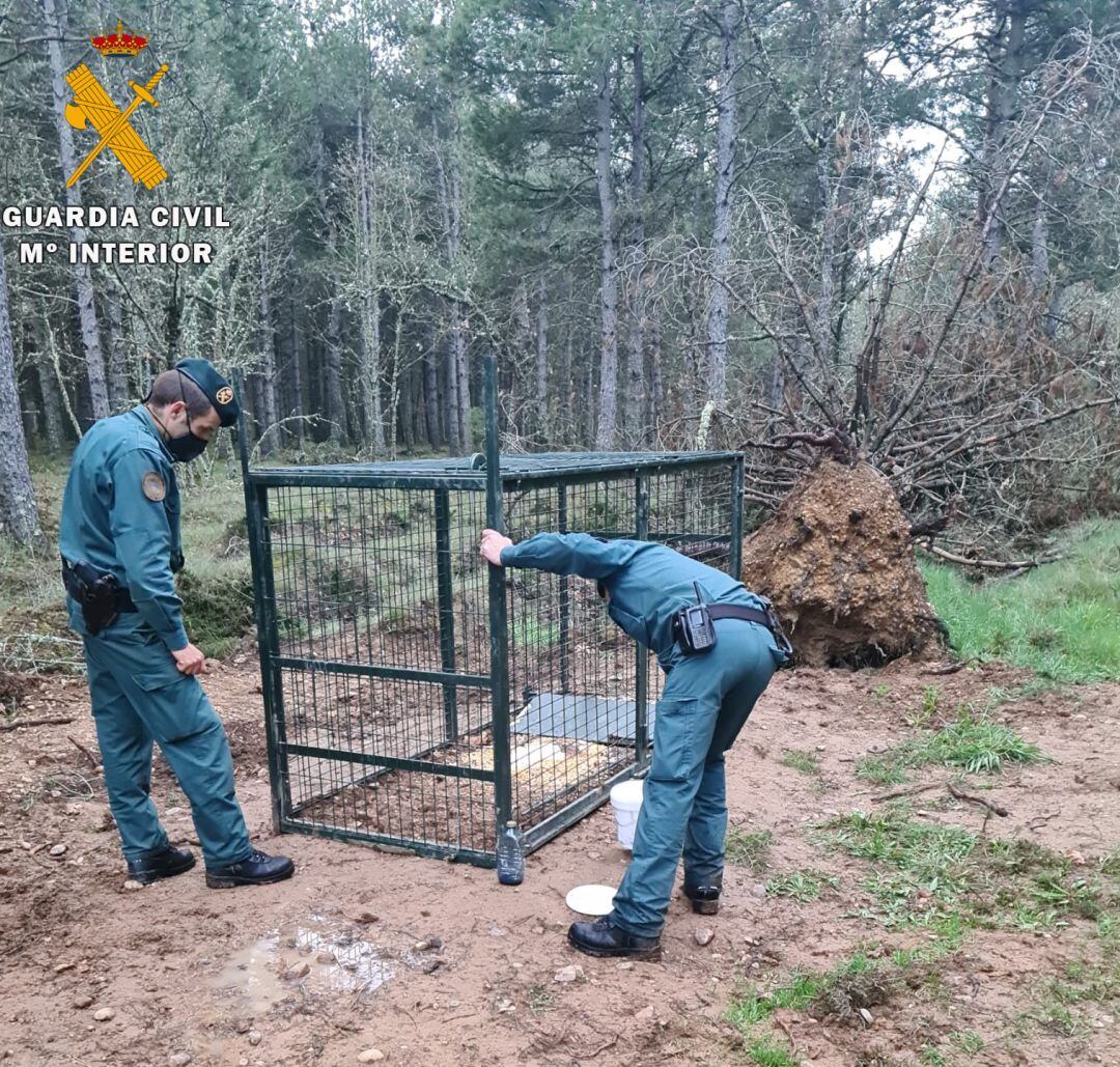 La Guardia Civil investiga a una persona por colocar una jaula trampa para poder cazar animales