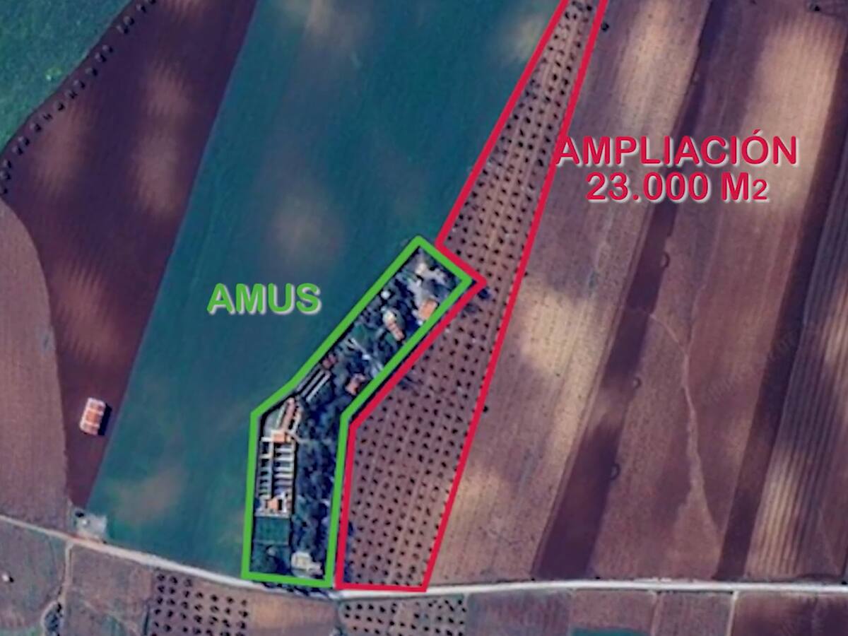 El hospital de recuperación de la fauna de AMUS ampliará terreno y capacidad