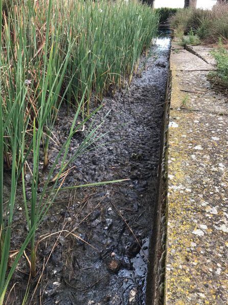 Río Valdeginate tomada en el término municipal de Baquerín de Campos