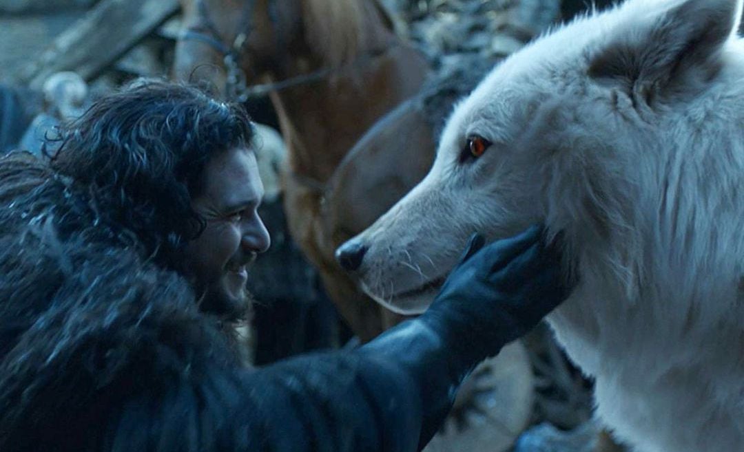 Jon Snow junto al lobo huargo Ghost.