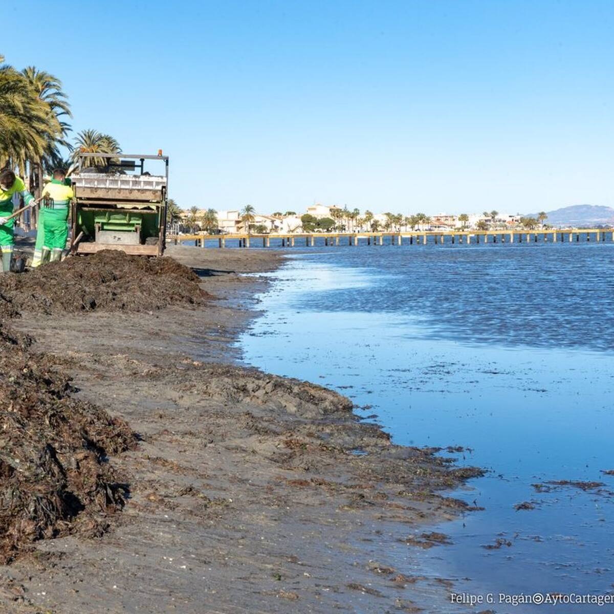 "Hace más de diez años que no puedo bañarme en mi propia playa"