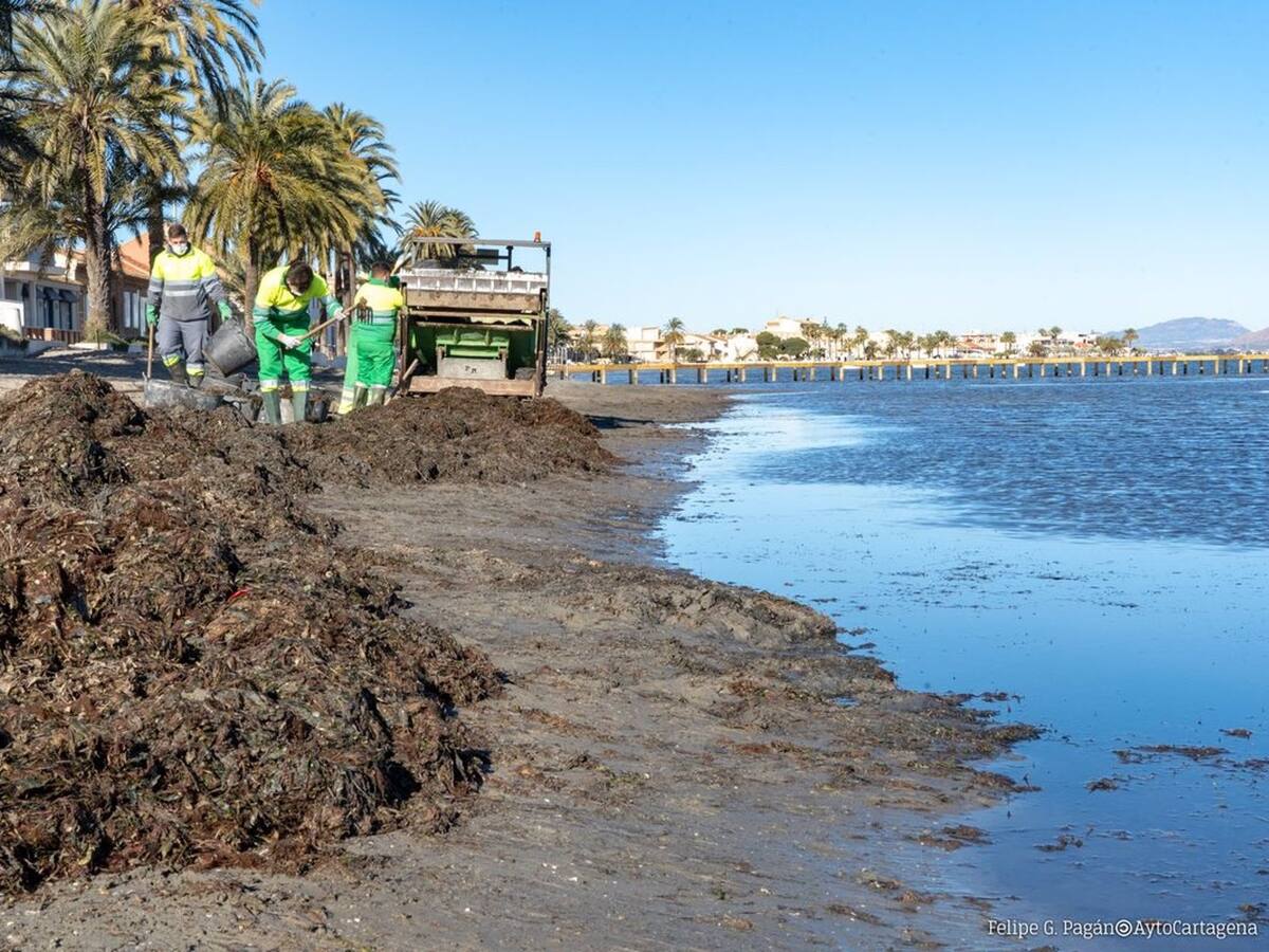 "Hace más de diez años que no puedo bañarme en mi propia playa"