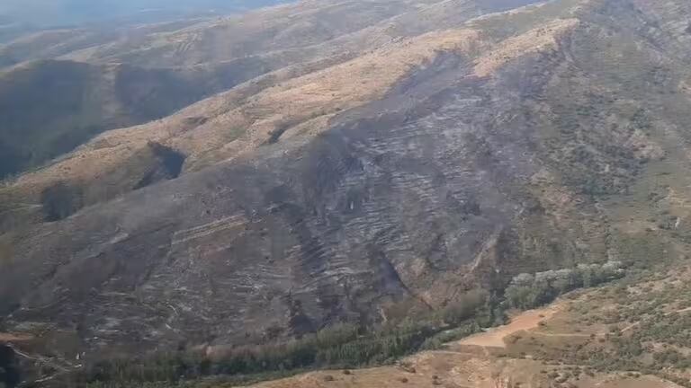 Zona del incendio forestal de Mansilla