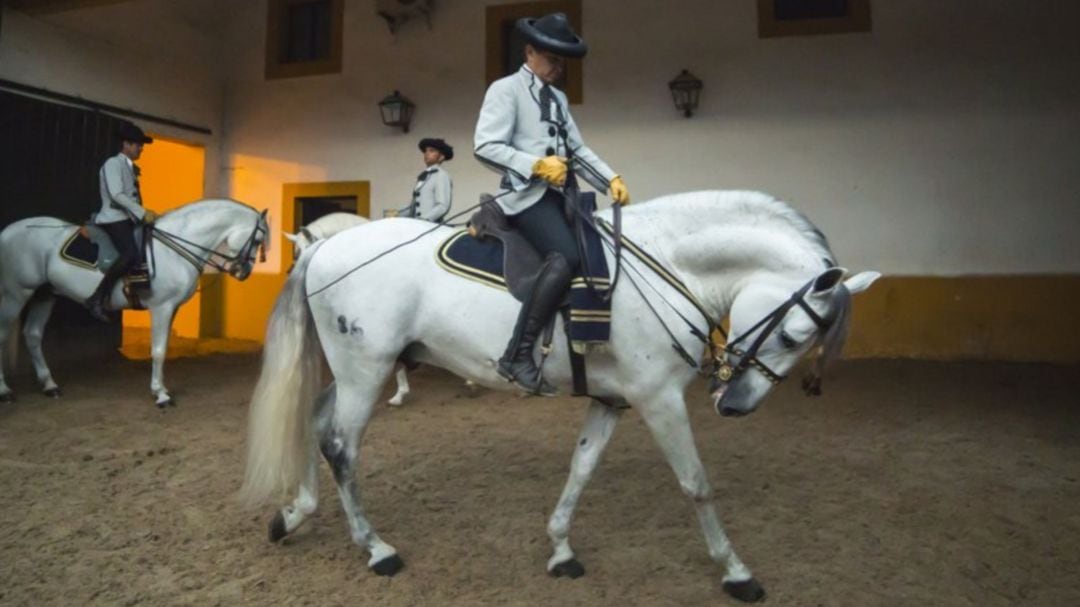 Martín Jiménez ha conseguido la primera y segunda posición en el  Campeonato de Andalucía de Doma de Alta Escuela