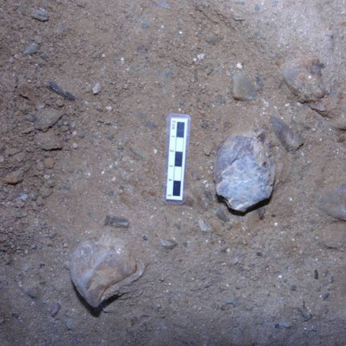 Investigadors de l’IPHES troben més de 50 eines de sílex d’un valor excepcional