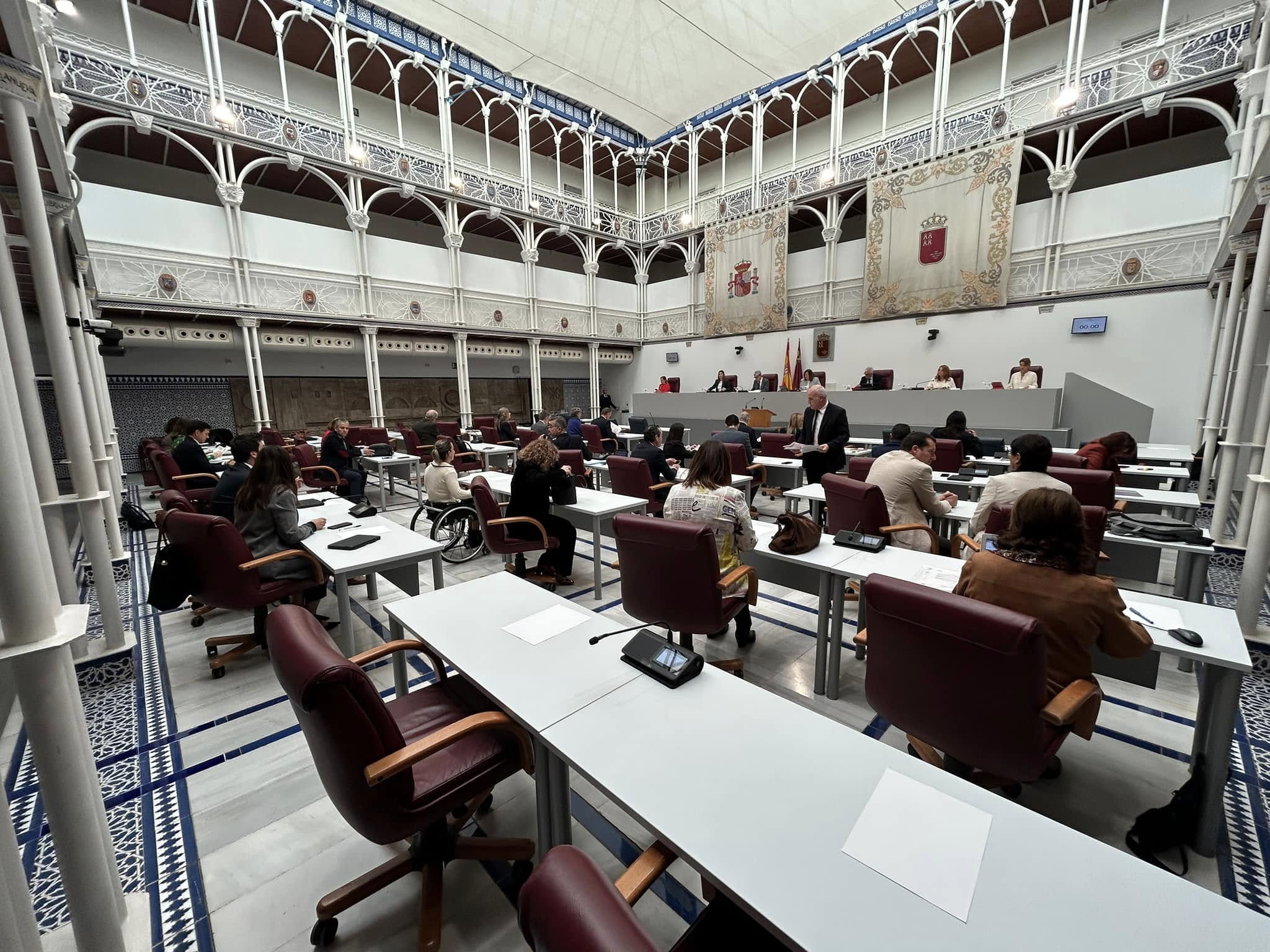 Pleno de la Asamblea Regional