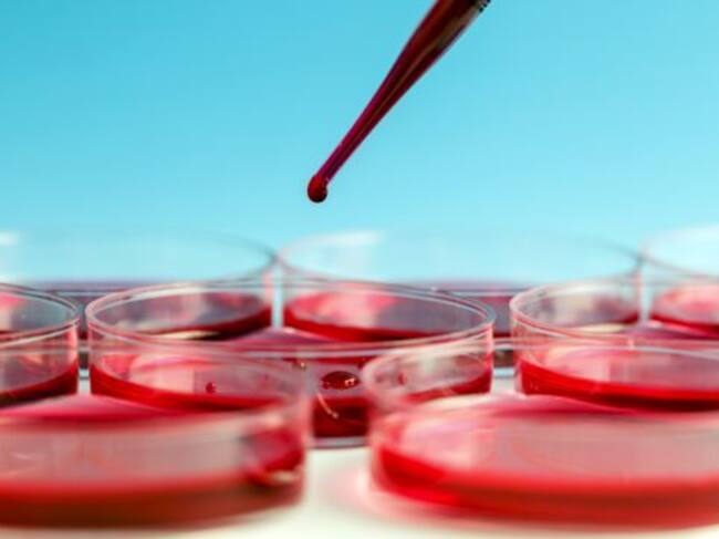 Material de laboratorio.