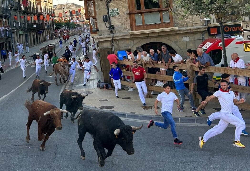 Tercer encierro de fiestas de Tafalla 2023 con toros de Macua