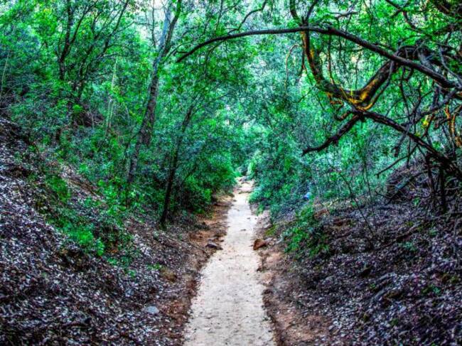 Barranc de la Mina de les Nines - Mont Roig del Camp
