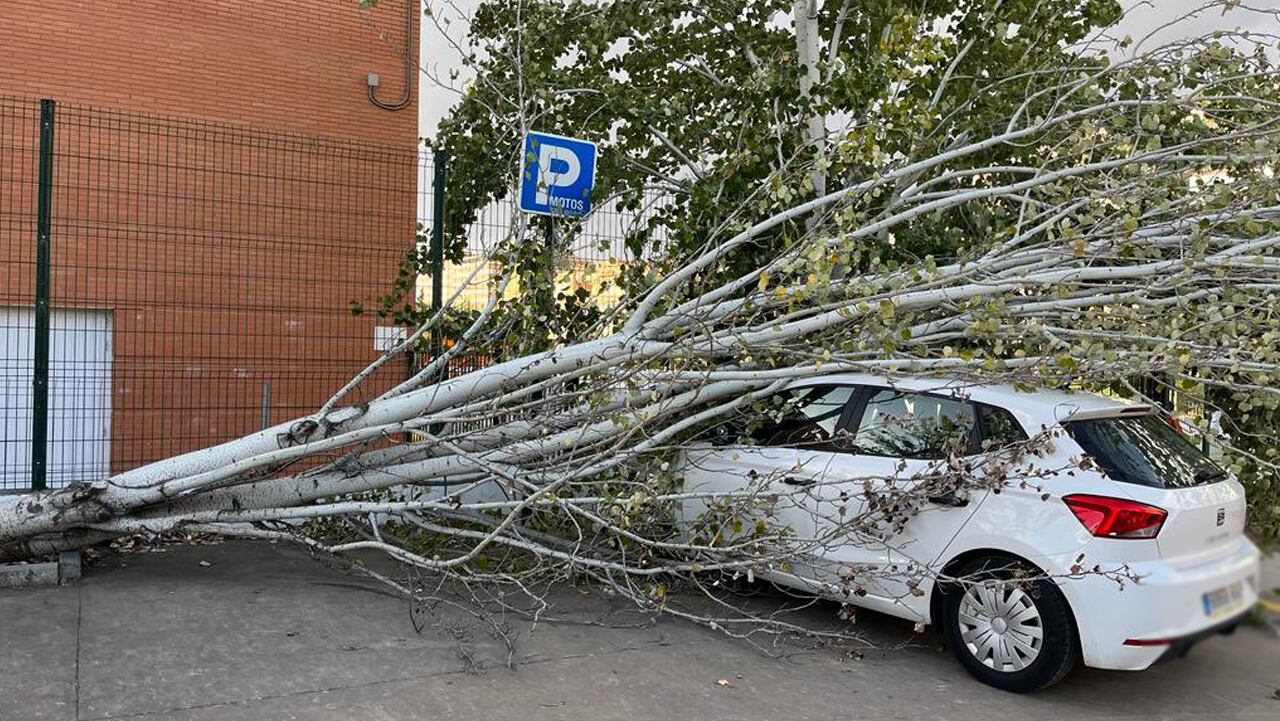 Consecuencias del temporal de viento