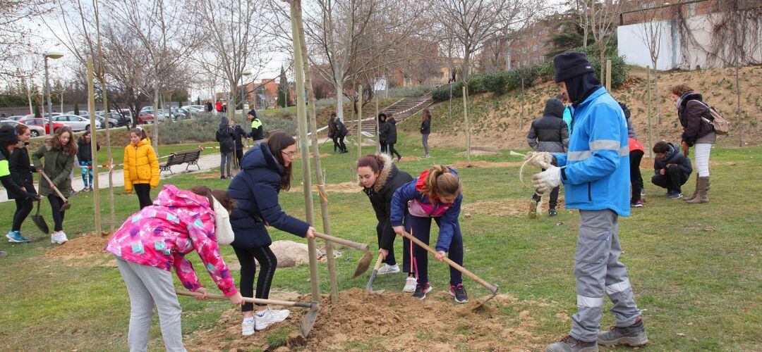 Alumnos del Instituto Ágora plantando árboles en Alcobendas